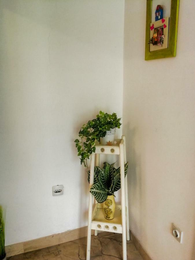 Apartman Damir Sumartin Luaran gambar