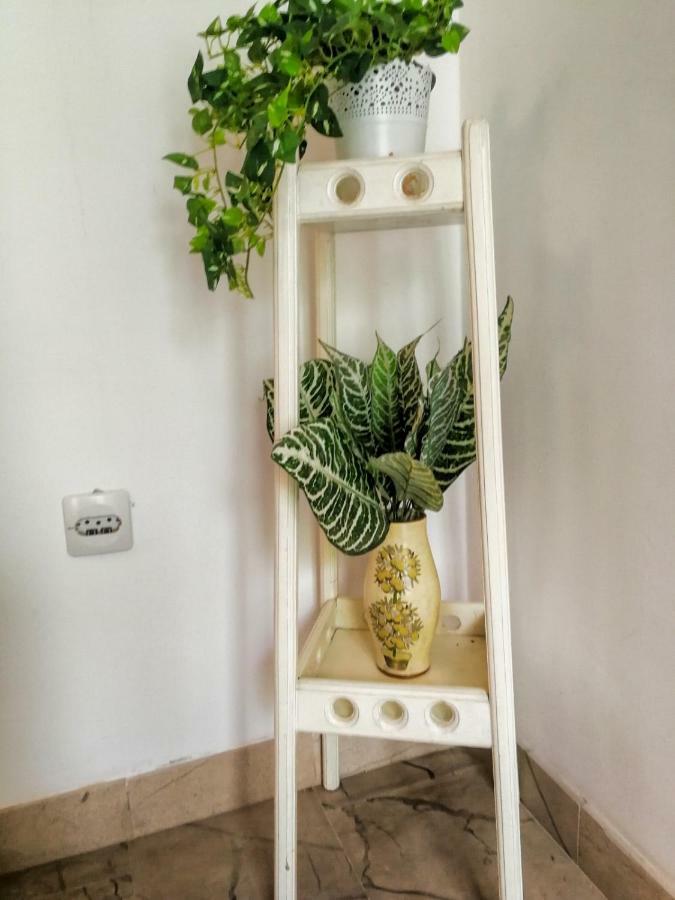 Apartman Damir Sumartin Luaran gambar